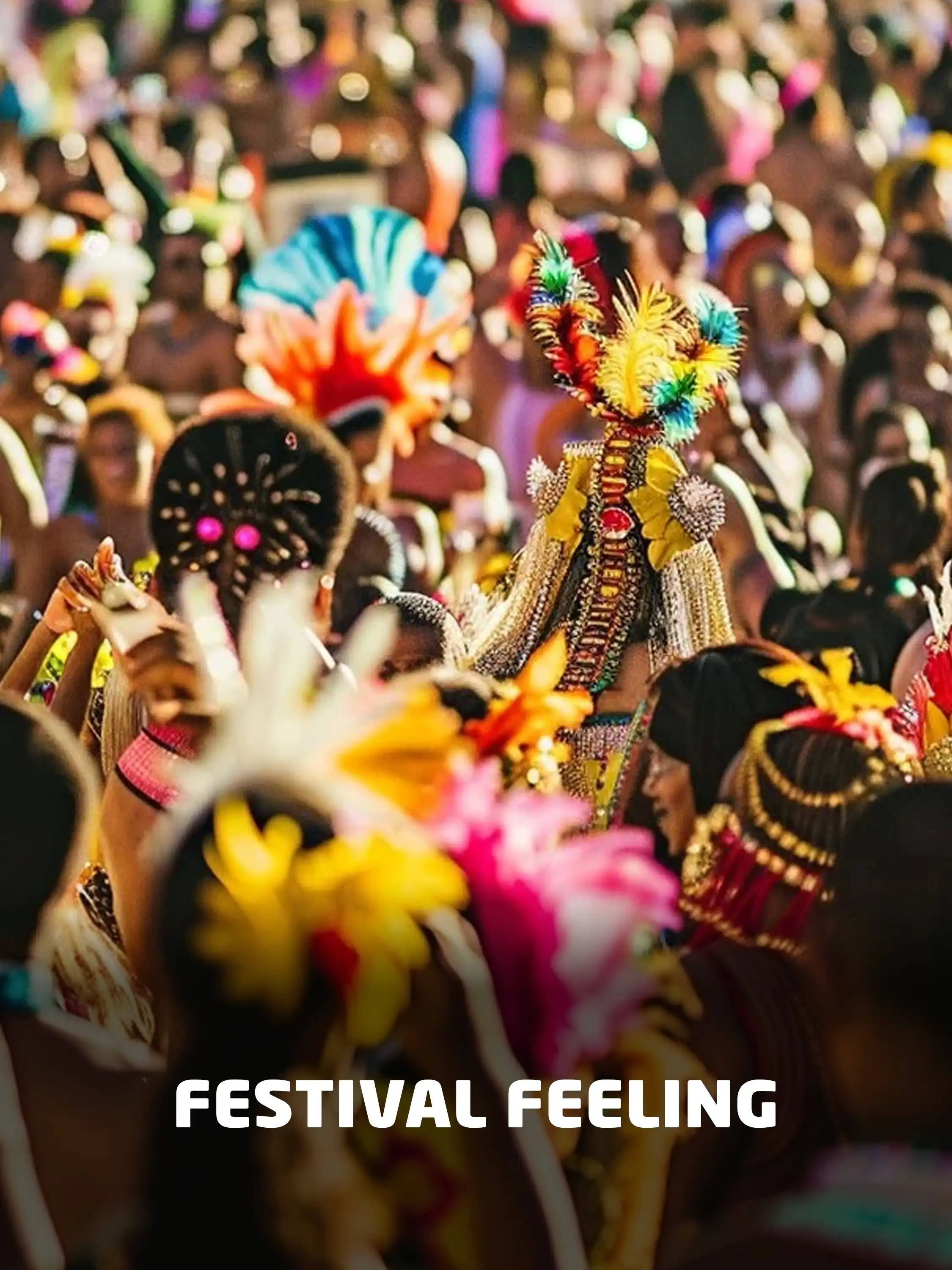 Festival Feeling